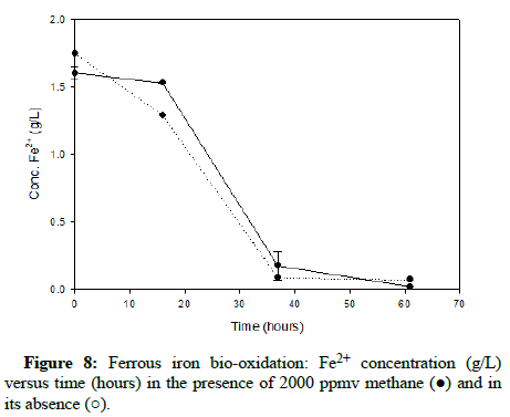 Biochemical-Bioprocess-presence