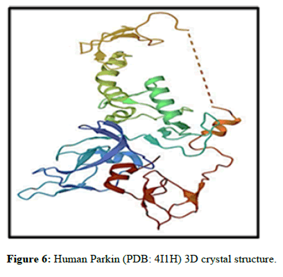 cocr-Parkin