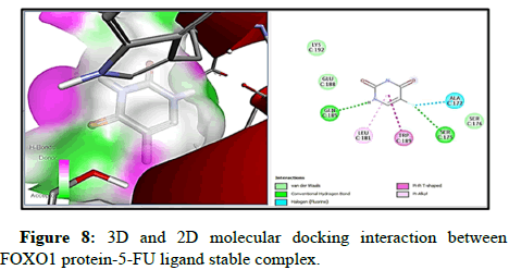 cocr-docking