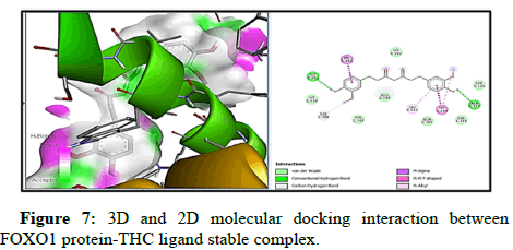 cocr-molecular