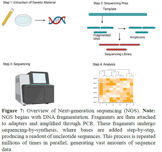 diagnoistic-biomedical-adapter