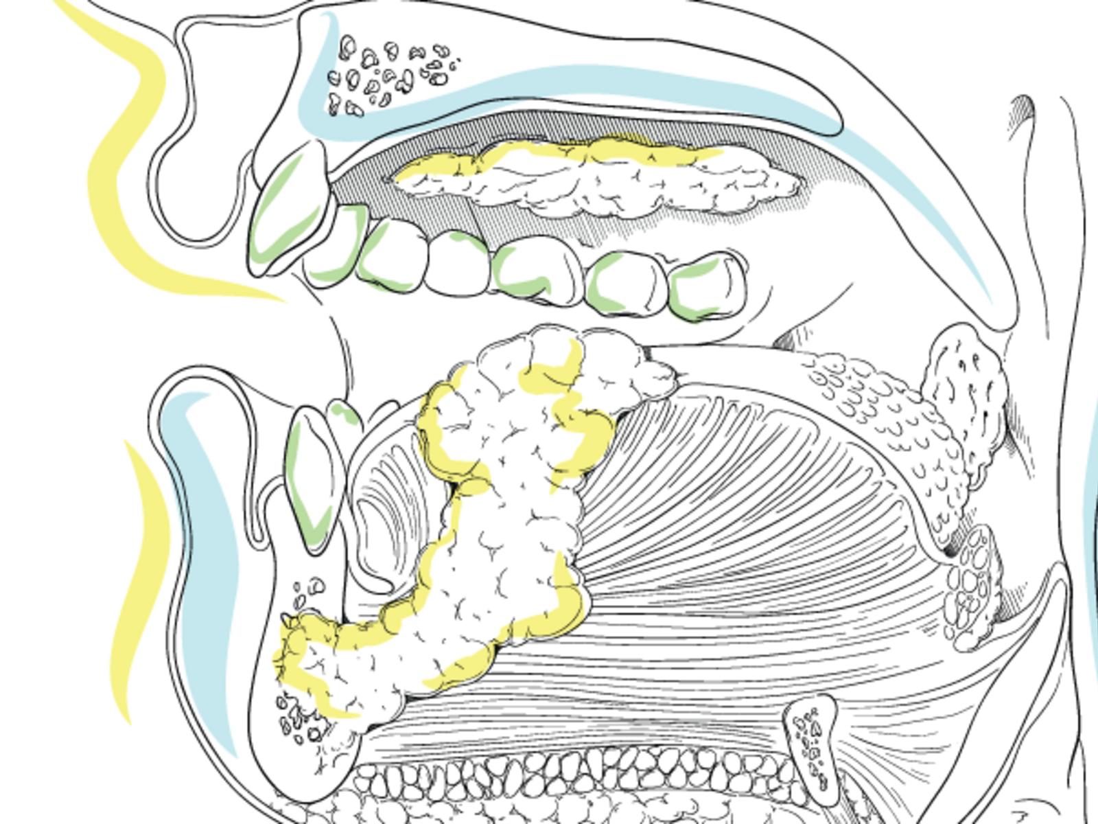 The Efficient Operation of the Surgical Pathology Gross Room