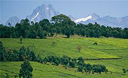 Implications of Land Use Change on Kenya’s Mountain Forest Ecosystem in the 21st Century