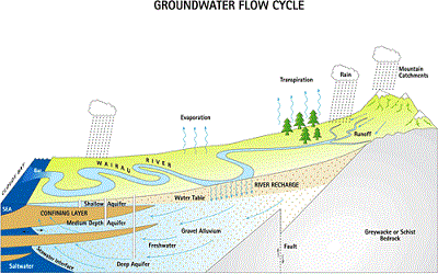 Solute-Transport under Fluctuating Groundwater Flow in Homogeneous Finite Porous Domain